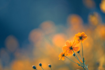 最近同学合伙想开个小店 网店也行 实体店也行 给点关于开店方面的策划 关于卖服装