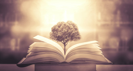 iDropper 是什么？