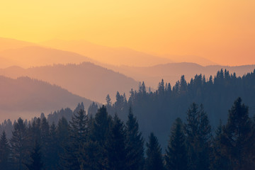 哈飞中意面包车多重