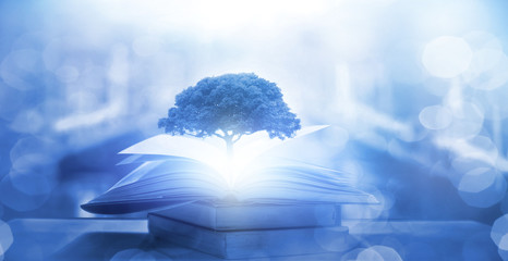 火星文符号是指什么？