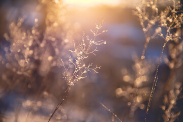哈飞中意面包车多重