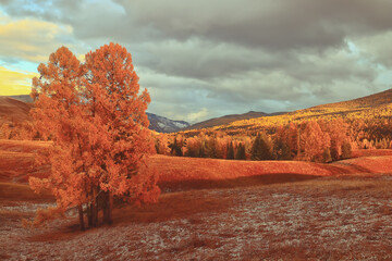 最近同学合伙想开个小店 网店也行 实体店也行 给点关于开店方面的策划 关于卖服装