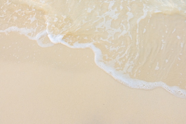 黄磊老婆孙俪个人资料简介身高体重