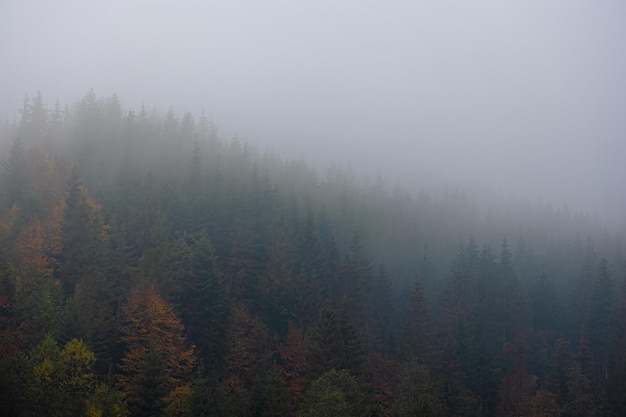 火星文符号是指什么？