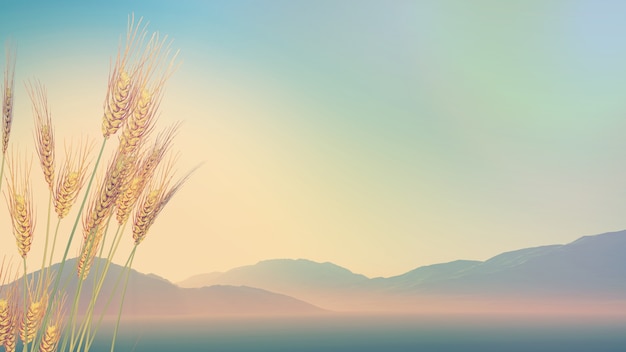 火星文符号是指什么？