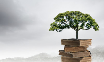 听书宝数据库连续错误怎么办