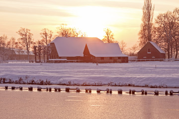 黄磊老婆孙俪个人资料简介身高体重