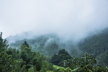 求Mother teresa.（特蕾莎）的至理名言。